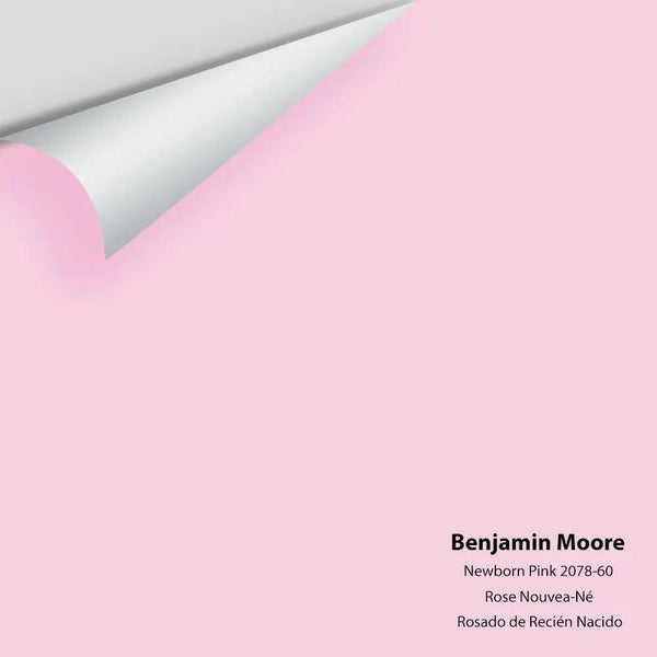 Big Paint Chip - Newborn Pink 2078-60