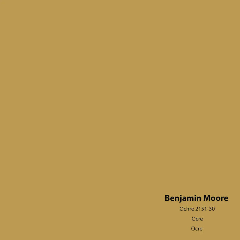 Big Paint Chip - Ochre 2151-30