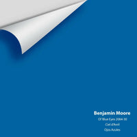 Big Paint Chip - Ol' Blue Eyes 2064-30