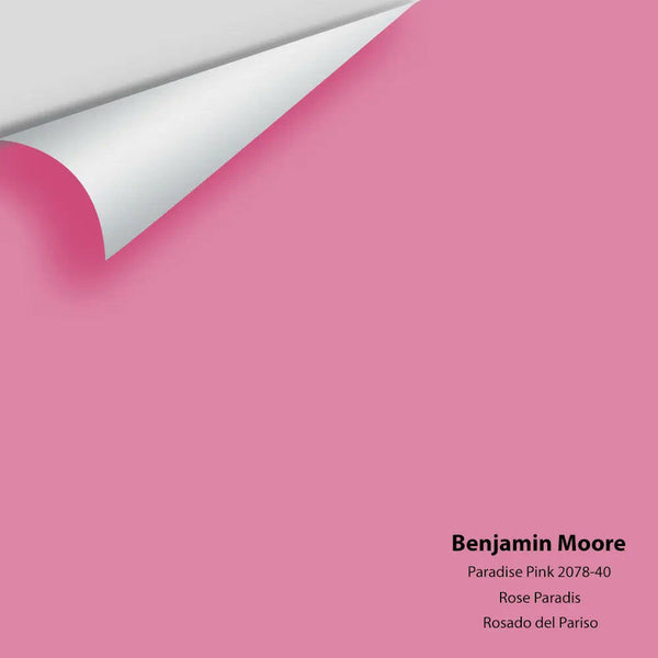 Big Paint Chip - Paradise Pink 2078-40