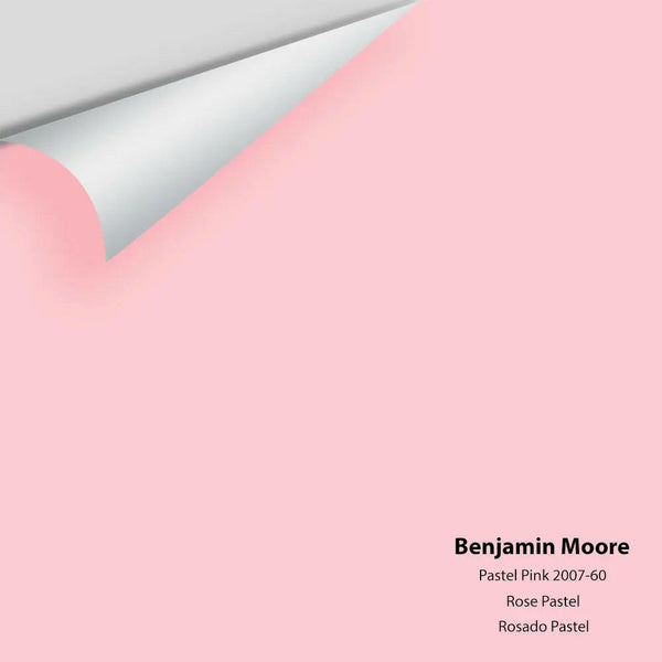 Big Paint Chip - Pastel Pink 2007-60