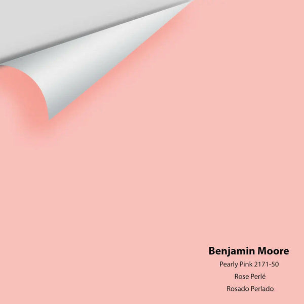 Big Paint Chip - Pearly Pink 2171-50