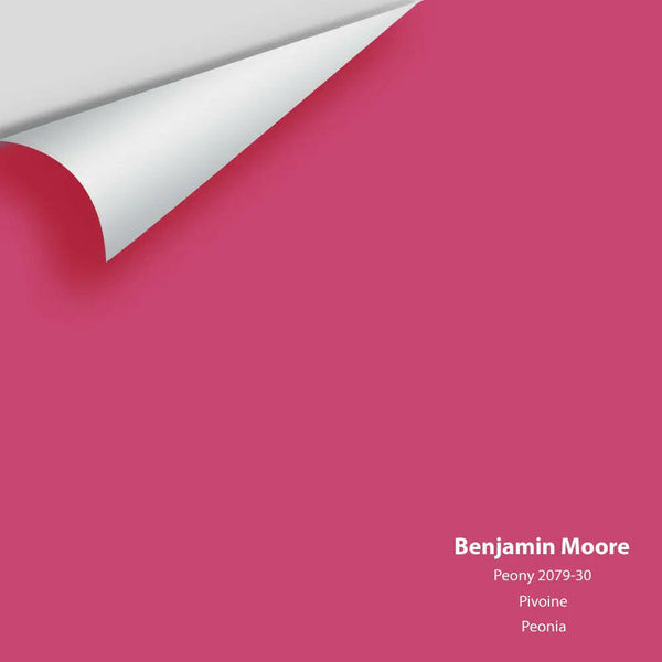 Big Paint Chip - Peony 2079-30