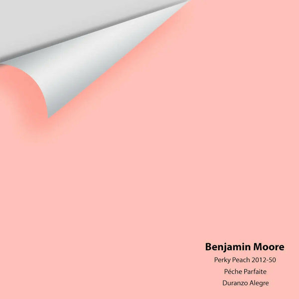 Big Paint Chip - Perky Peach 2012-50