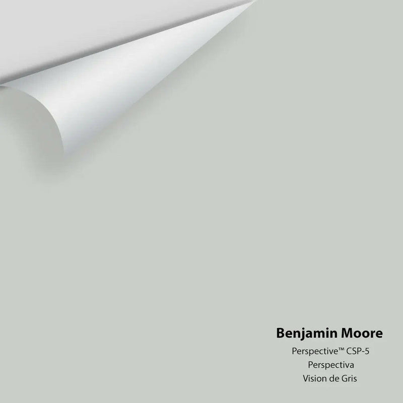 Benjamin Moore - Perspective™ CSP-5 Colour Sample