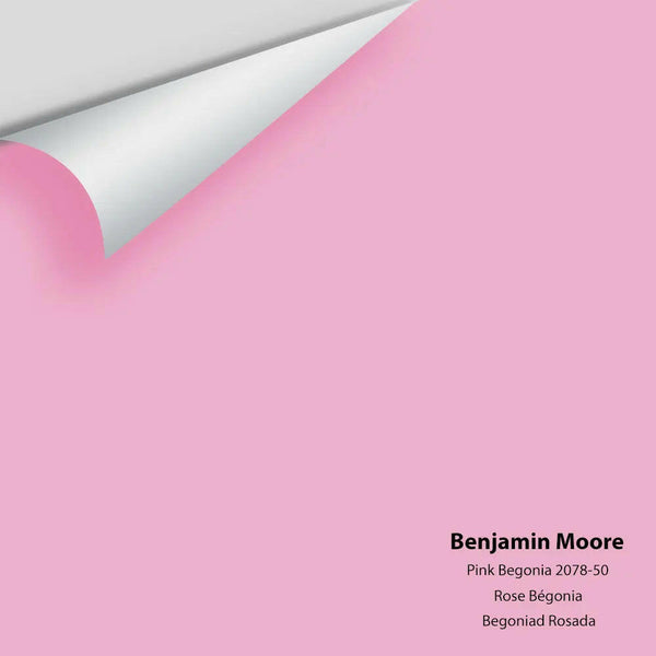 Big Paint Chip - Pink Begonia 2078-50