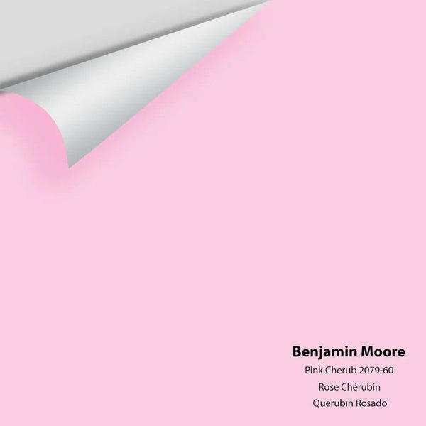 Big Paint Chip - Pink Cherub 2079-60