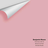 Big Paint Chip - Pink Eraser 2005-50