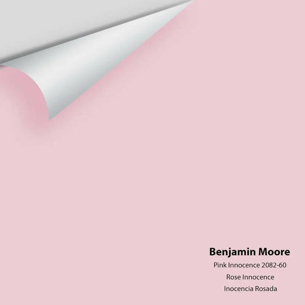 Big Paint Chip - Pink Innocence 2082-60