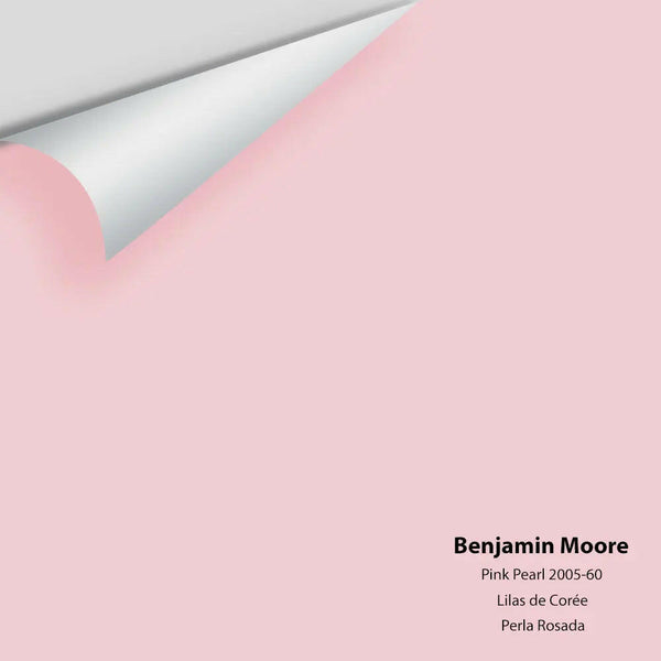 Big Paint Chip - Pink Pearl 2005-60
