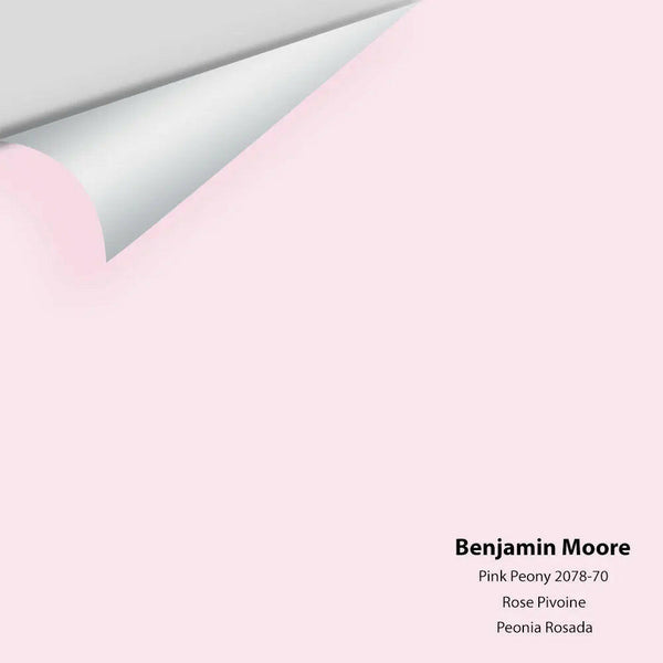 Big Paint Chip - Pink Peony 2078-70