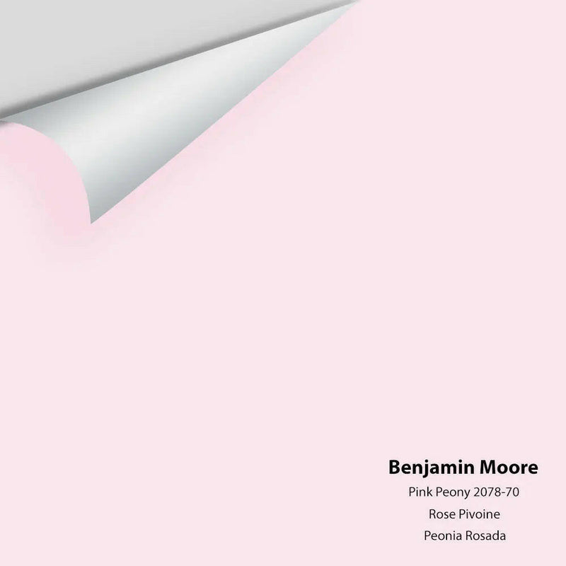Big Paint Chip - Pink Peony 2078-70