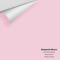 Big Paint Chip - Pink Petals 2085-60