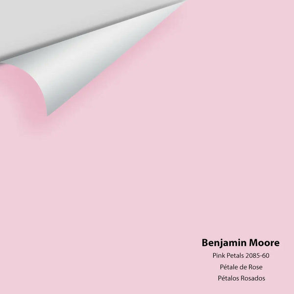 Big Paint Chip - Pink Petals 2085-60
