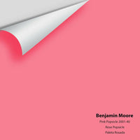 Big Paint Chip - Pink Popsicle 2001-40