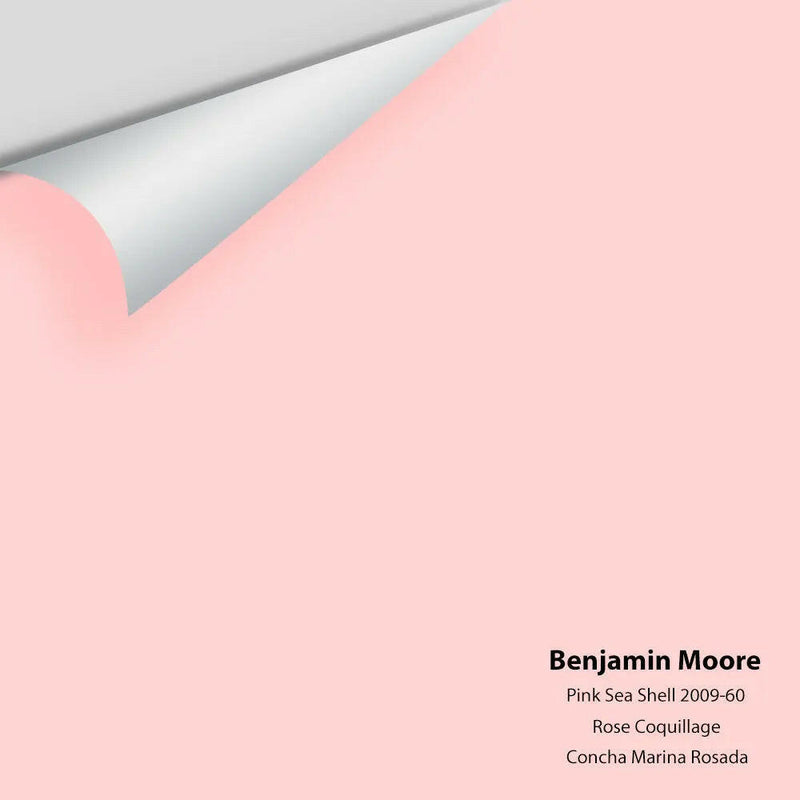 Big Paint Chip - Pink Sea Shell 2009-60