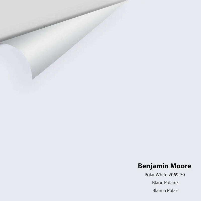Big Paint Chip - Polar White 2069-70 Benjamin Moore®