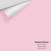 Big Paint Chip - Posy Pink 2080-60