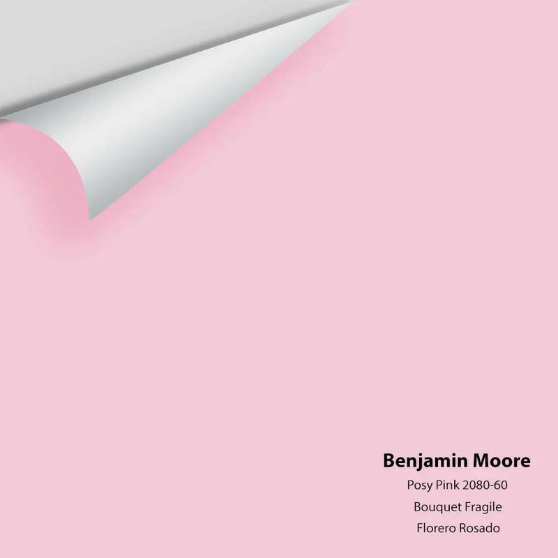 Big Paint Chip - Posy Pink 2080-60