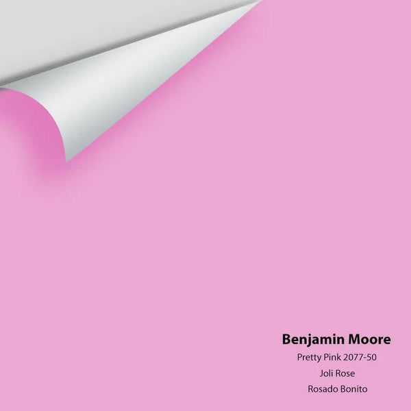 Big Paint Chip - Pretty Pink 2077-50