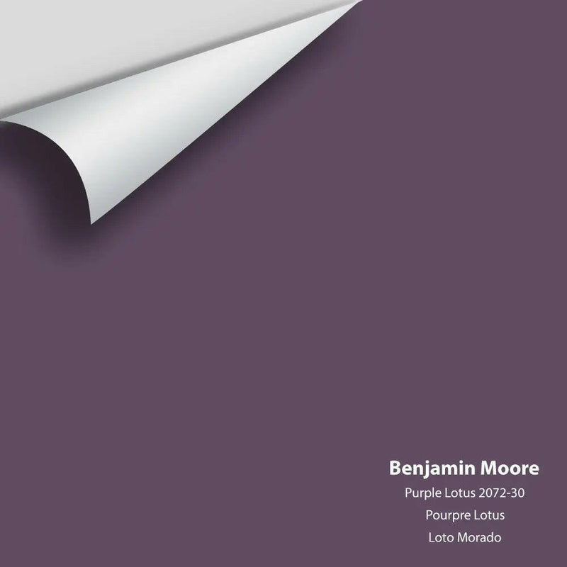 Big Paint Chip - Purple Lotus 2072-30 Benjamin Moore®