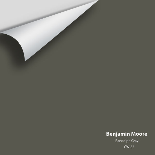 Benjamin Moore - Randolph Gray CW-85 Colour Sample