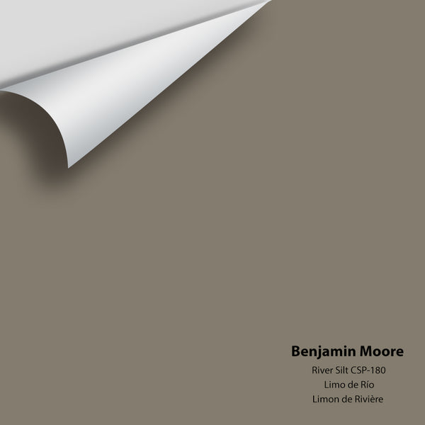 Benjamin Moore - River Silt CSP-180 Colour Sample