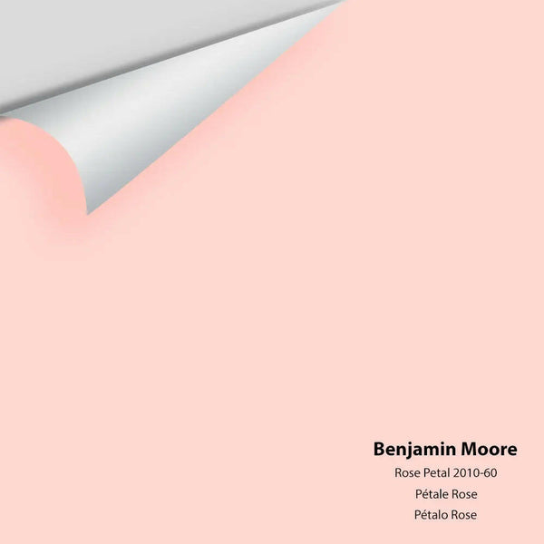 Big Paint Chip - Rose Petal 2010-60