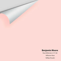 Big Paint Chip - Rose Reflection 2171-60