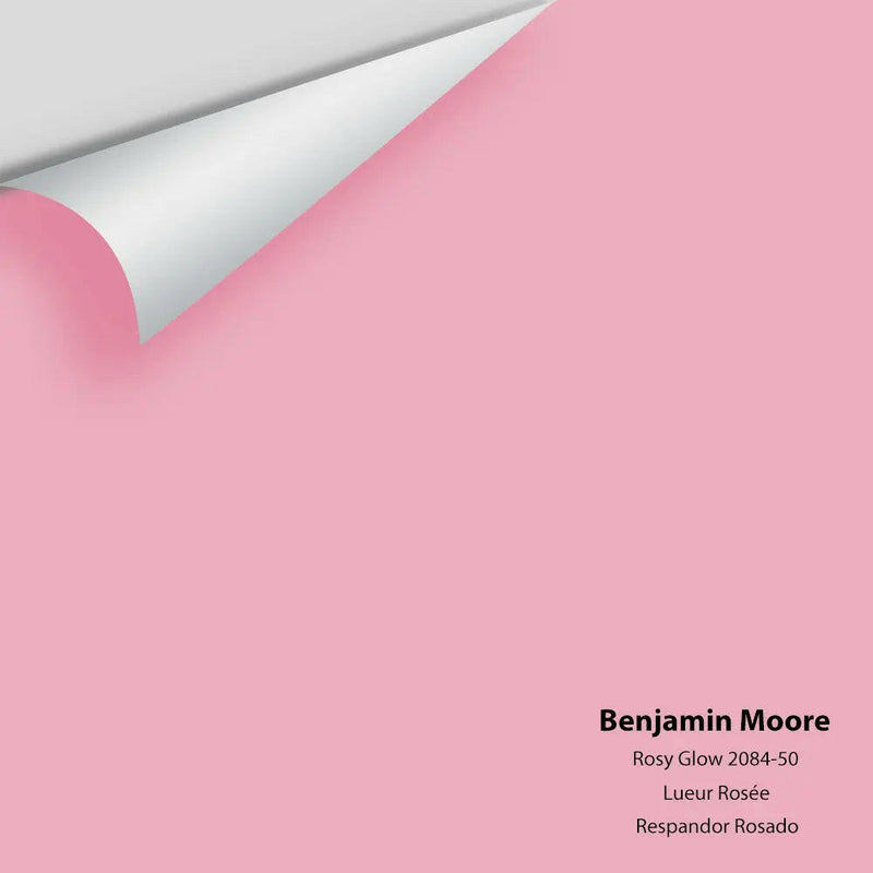 Big Paint Chip - Rosy Glow 2084-50