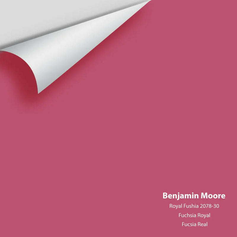 Big Paint Chip - Royal Fuchsia 2078-30