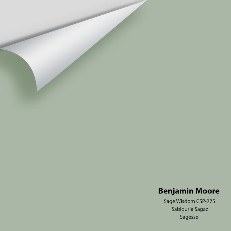 Benjamin Moore - Sage Wisdom CSP-775 Colour Sample