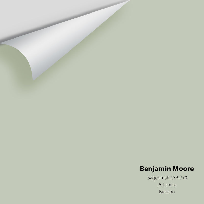 Benjamin Moore - Sagebrush CSP-770 Colour Sample