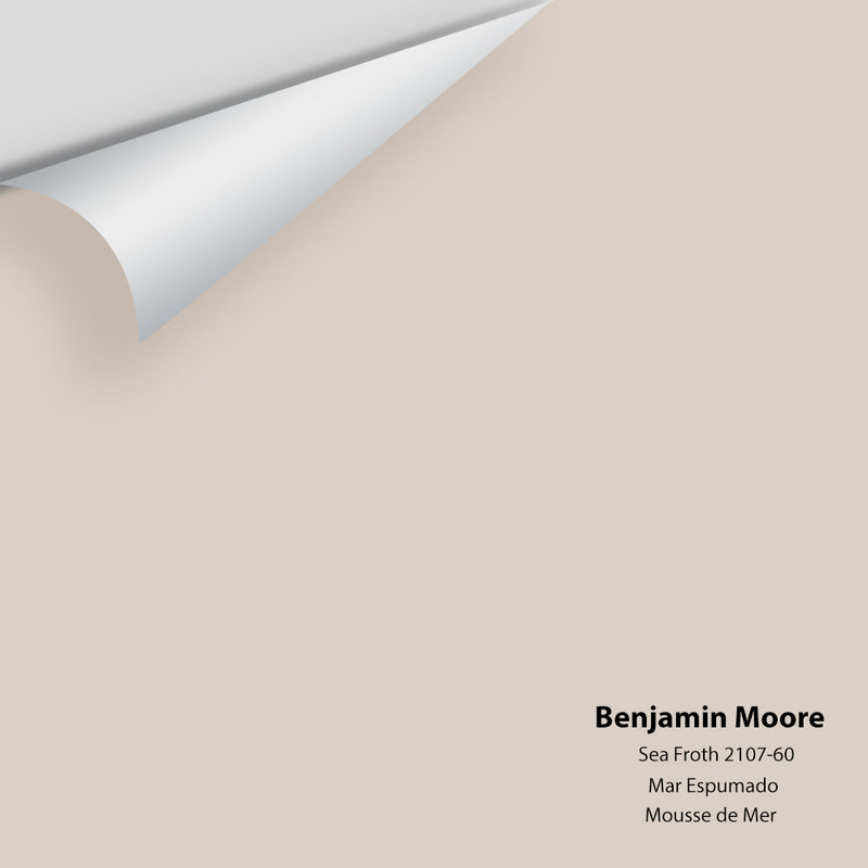 Benjamin Moore - Sea Froth 2107-60 Colour Sample