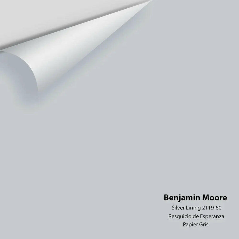 Benjamin Moore - Silver Lining 2119-60 Colour Sample