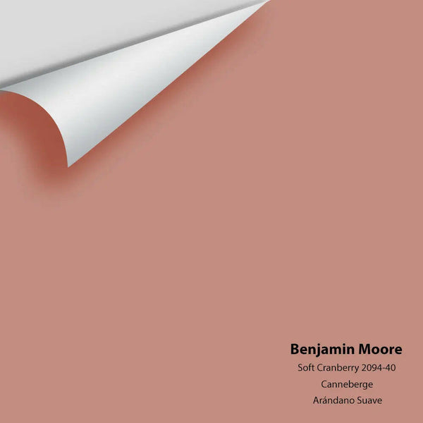 Big Paint Chip - Soft Cranberry 2094-40