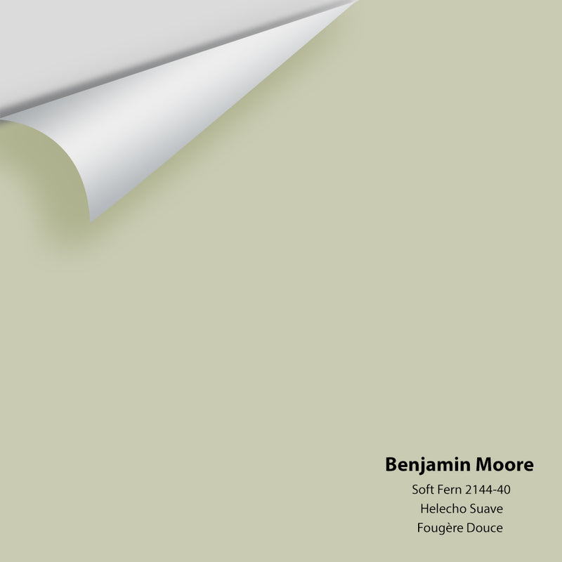 Benjamin Moore - Échantillon de couleur Soft Fern 2144-40