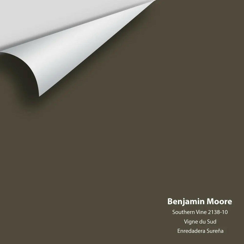 Big Paint Chip - Southern Vine 2138-10