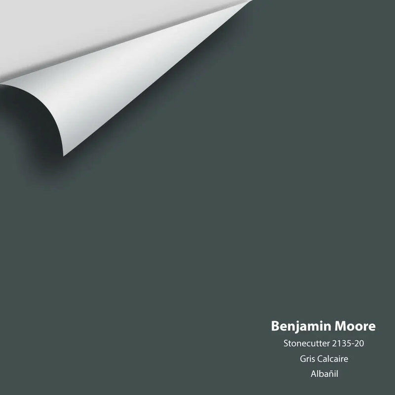 Big Paint Chip - Stonecutter 2135-20