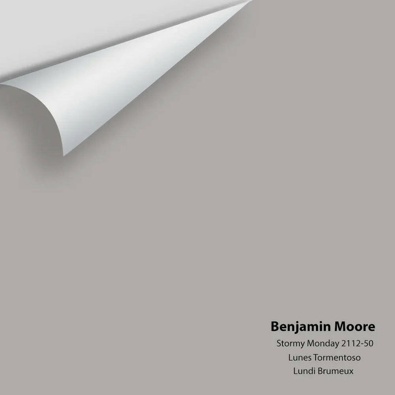 Benjamin Moore - Stormy Monday 2112-50 Colour Sample
