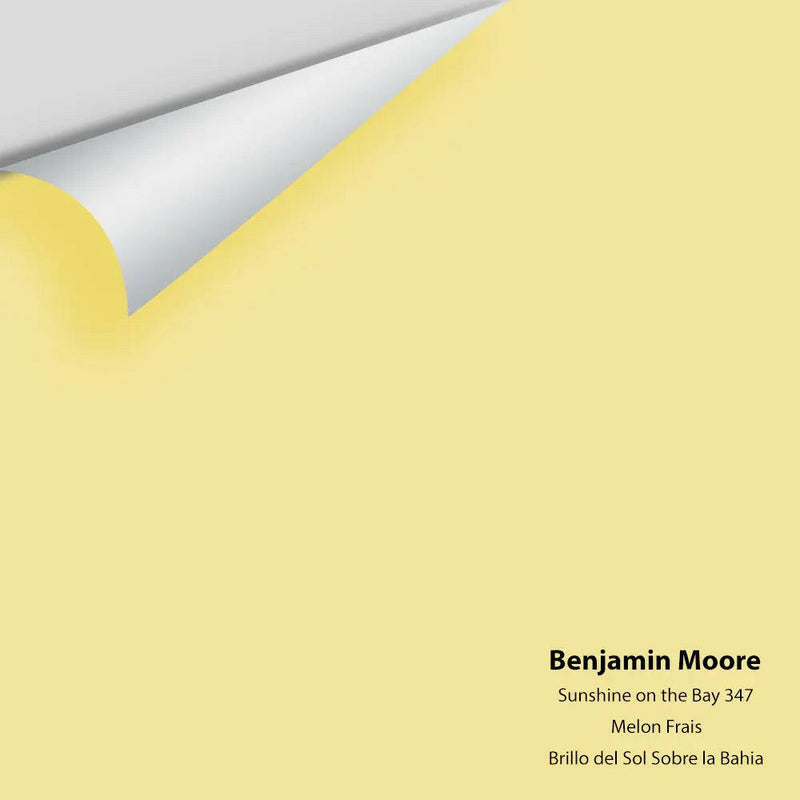 Big Paint Chip - Sunshine On The Bay 347