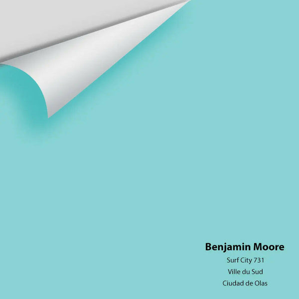 Big Paint Chip - Surf City 731