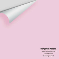 Big Paint Chip - Sweet Naivete 2083-60