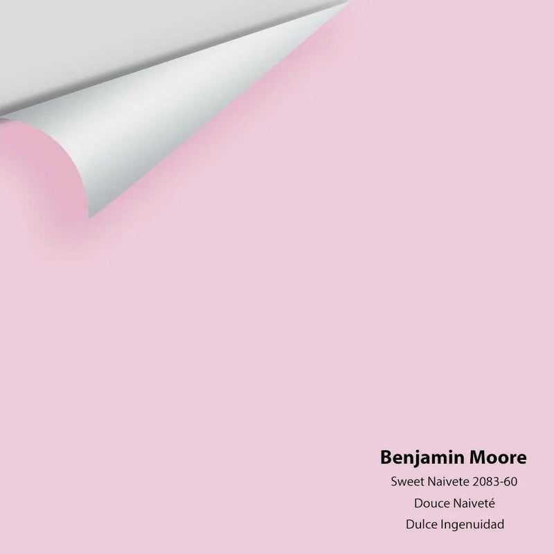 Big Paint Chip - Sweet Naivete 2083-60