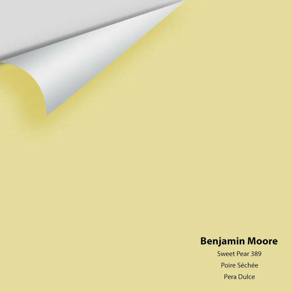 Big Paint Chip - Sweet Pear 389