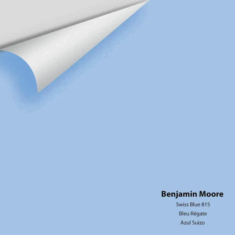 Big Paint Chip - Swiss Blue 815