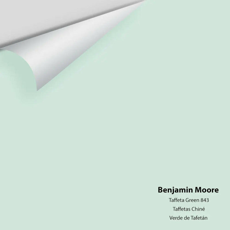 Big Paint Chip - Taffeta Green 843