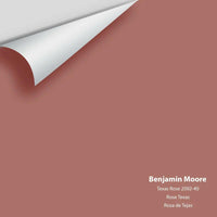 Big Paint Chip - Texas Rose 2092-40