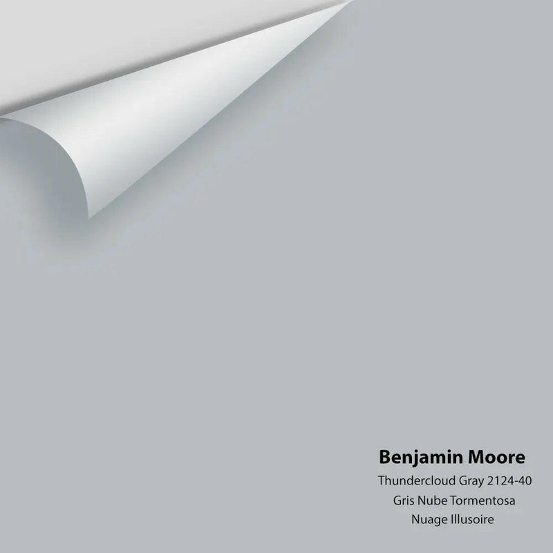 Benjamin Moore - Thundercloud Gray 2124-40 Colour Sample