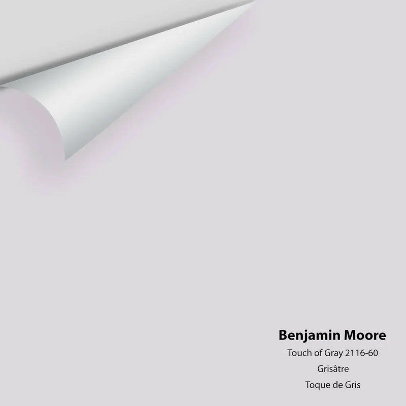 Big Paint Chip - Touch of Gray 2116-60 Benjamin Moore®